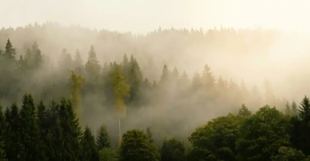 exploring sovereign decision-making during a mindfulness practice