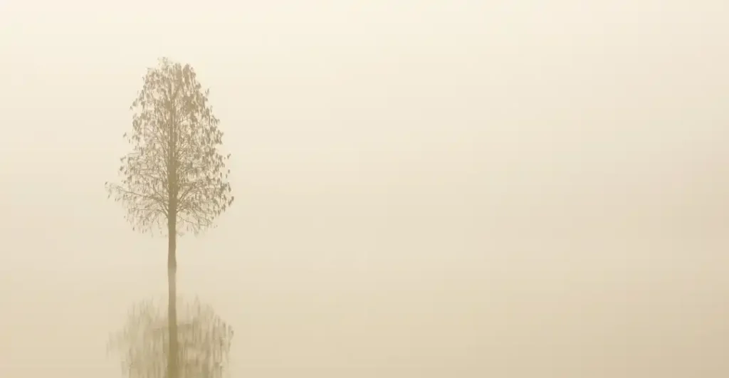 a calm reflective image evoking liberated thinking and clarity