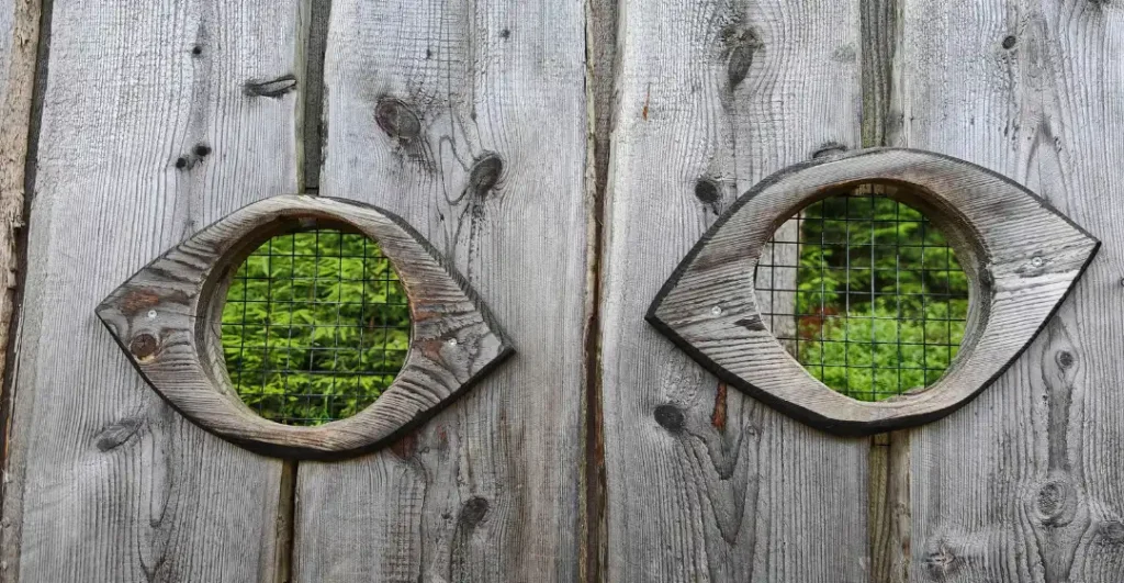 an abstract form expressing conscious perception without labels